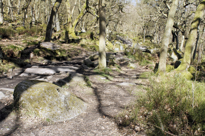 Padley Gorge Padley Gorge